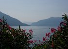 T9Q5247 : Lago Maggiore