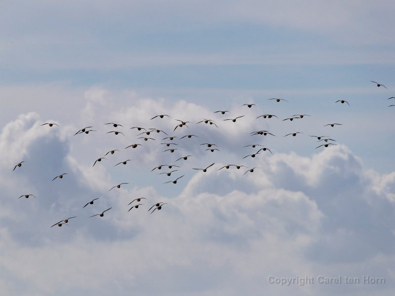 2016 Ameland-106