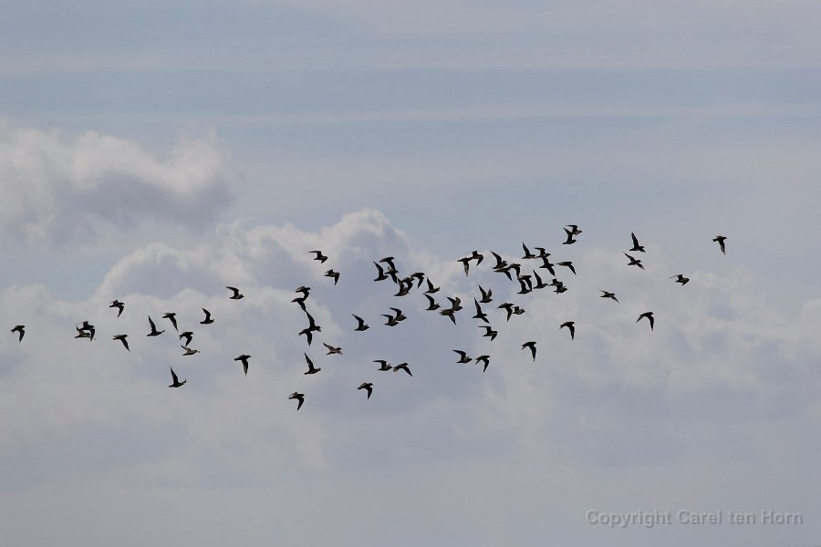 2016 Ameland-107