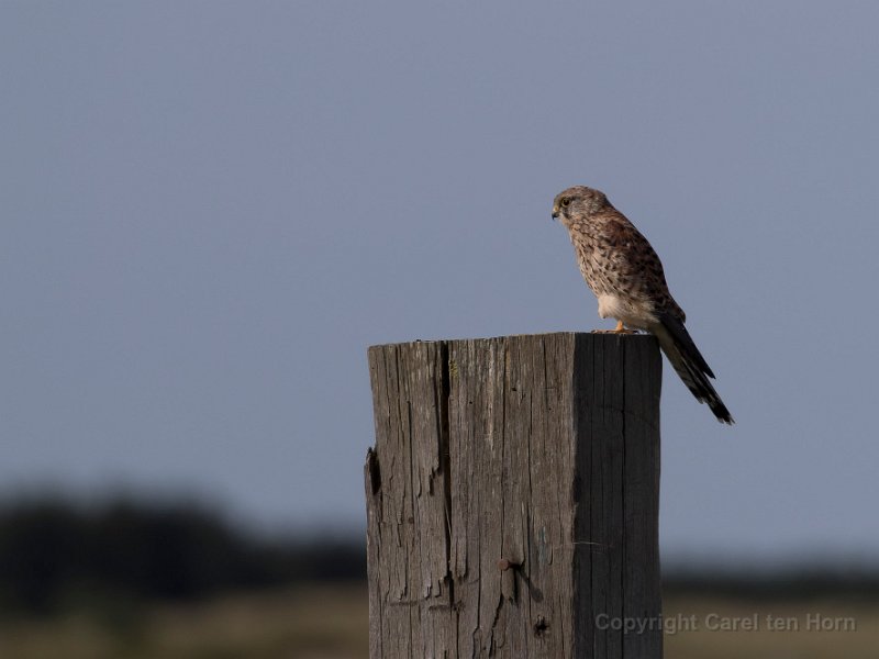 2016 Ameland-119