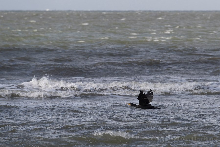 2016 Ameland-125