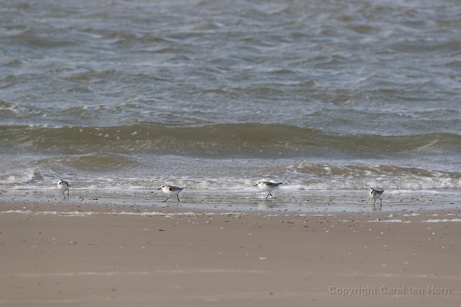 2016 Ameland-127