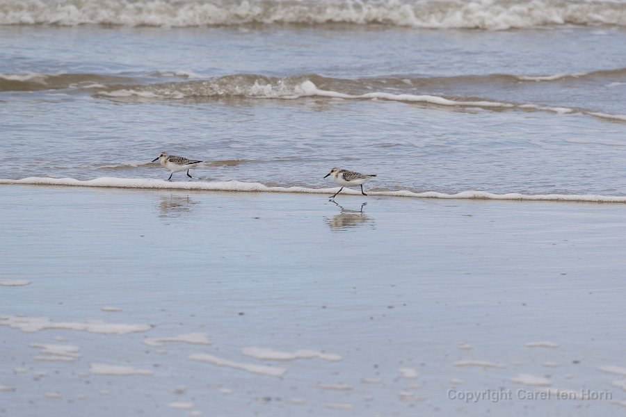 2016 Ameland-131