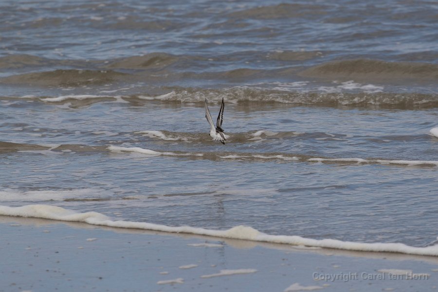 2016 Ameland-135