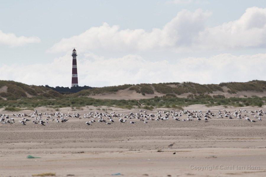 2016 Ameland-137