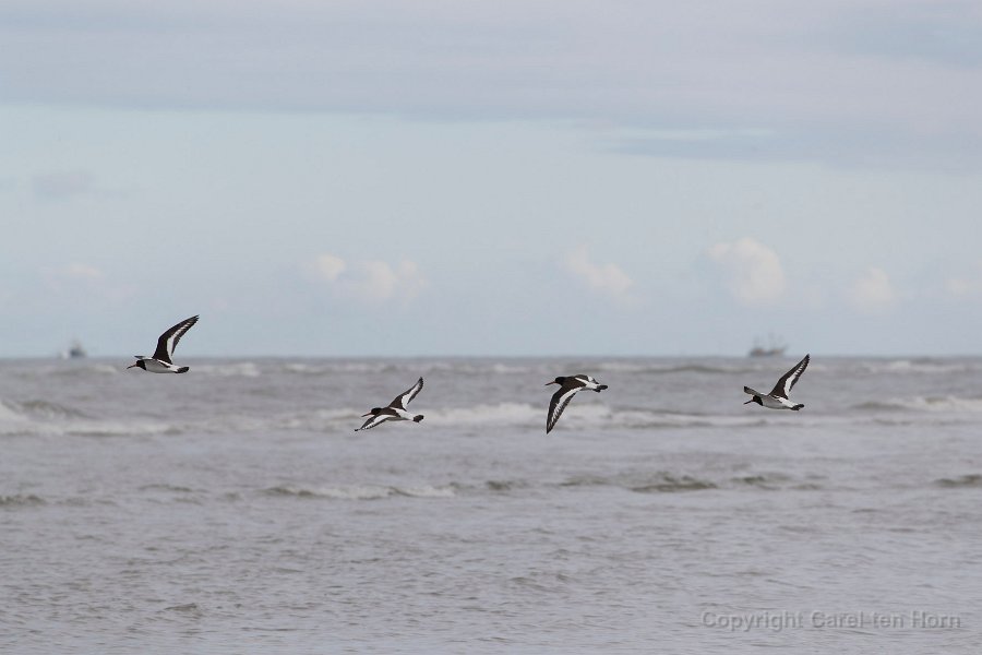 2016 Ameland-140