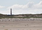 2016 Ameland-137