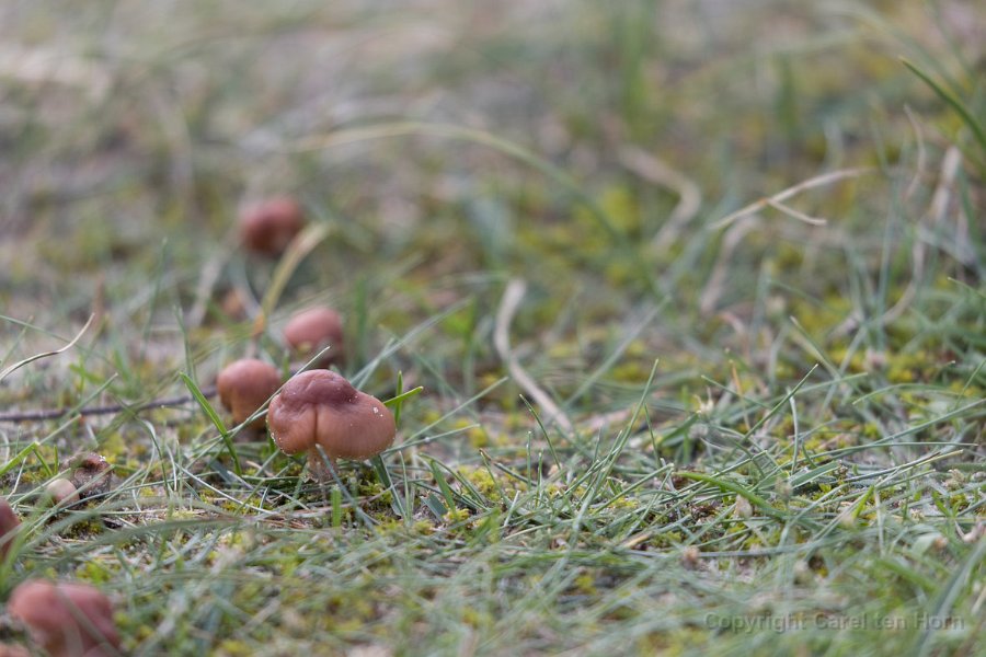 2017Ameland-116