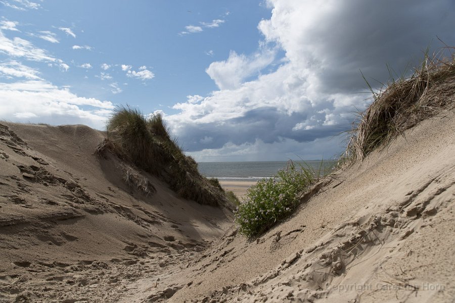 2017Ameland-118