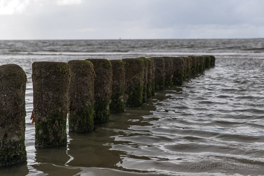 2017Ameland-129