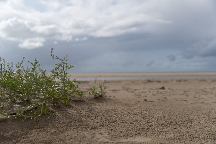 2017Ameland-131