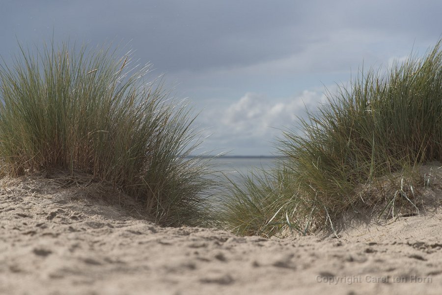 2017Ameland-134