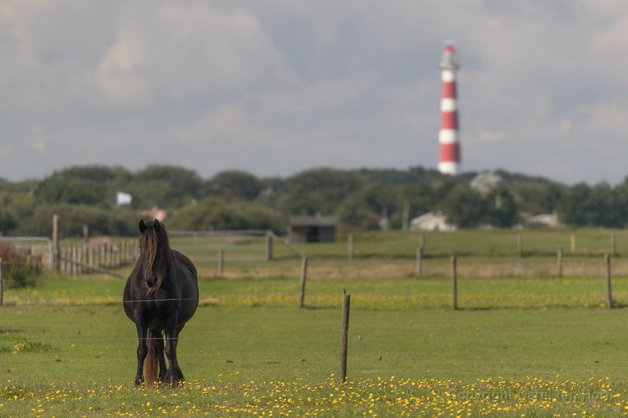 2017Ameland-144