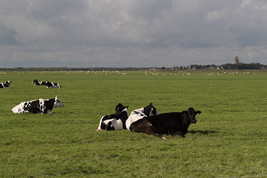 2017Ameland-150